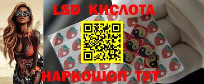 spice Заволжье