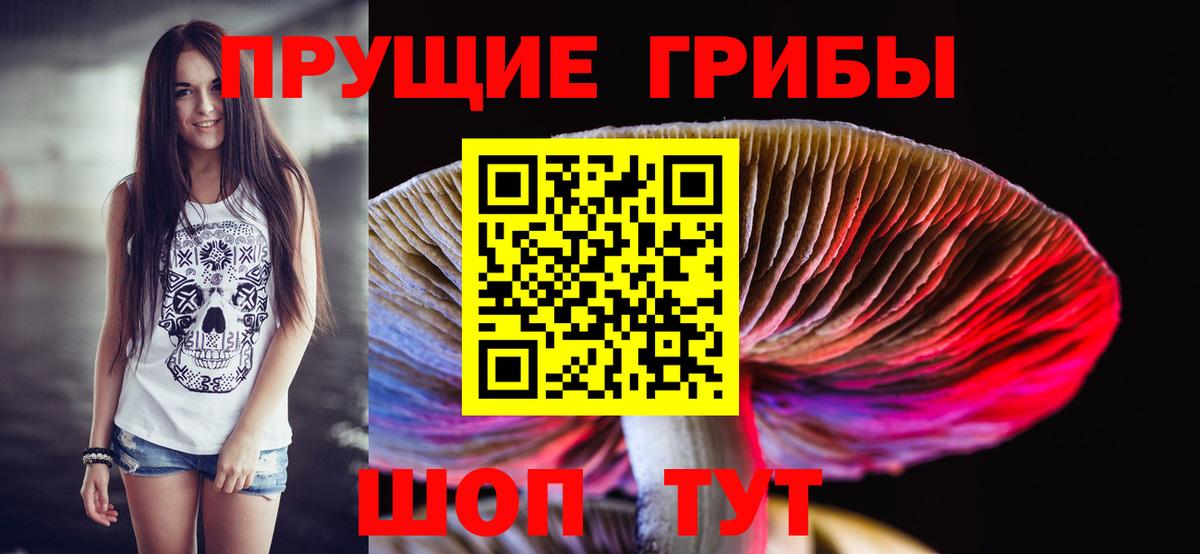 Курчалой  Галлюциногенные грибы мицелий  Вход с VPN 