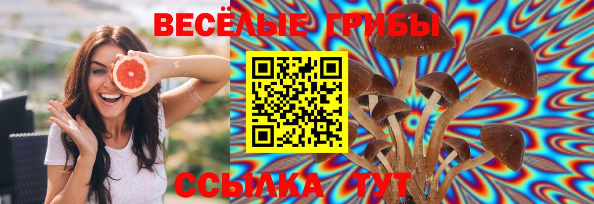 Галлюциногенные грибы GOLDEN TEACHER Курчалой